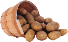 Russet Potatoes product image.