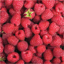 Raspberries product image.