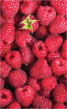 Strawberries product image.