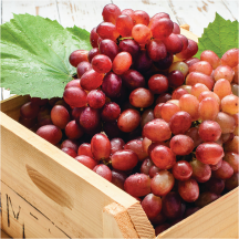 Red product image.
