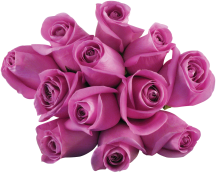 12 Stem Rose Bouquets product image.