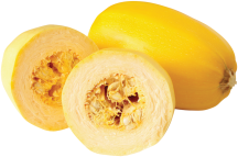 Squash product image.