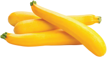Yellow Zucchinni Squash product image.