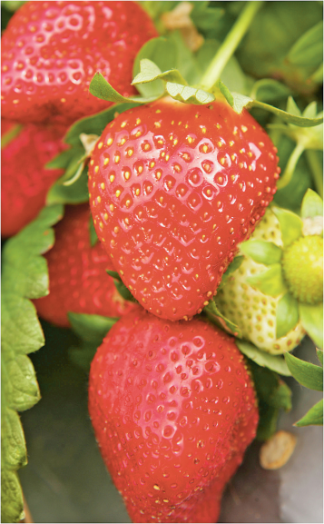 Strawberries product image.