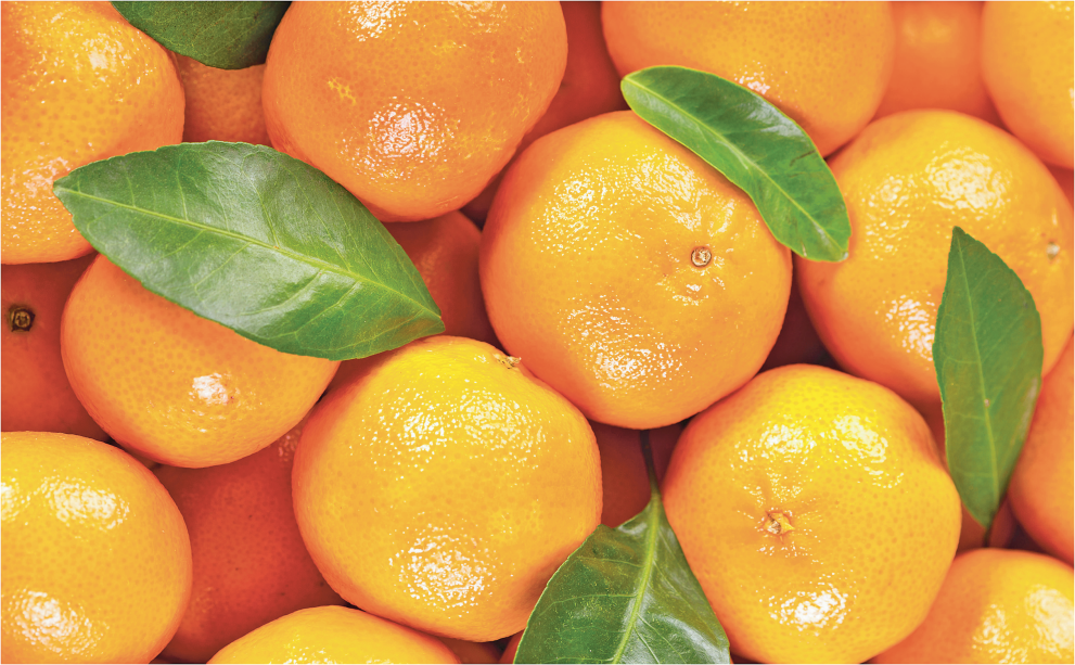 Clementines product image.