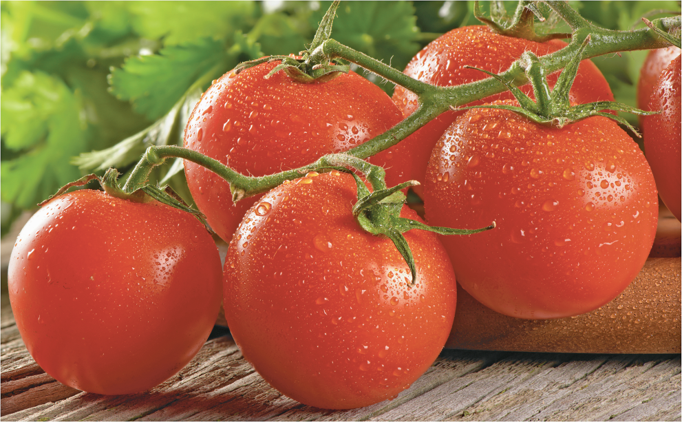 Tomatoes, Jalapeños or Tomatillos product image.