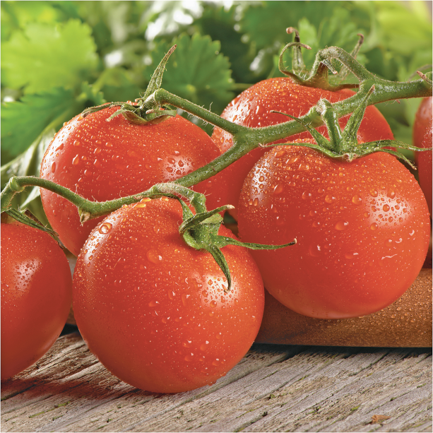 Tomatoes product image.