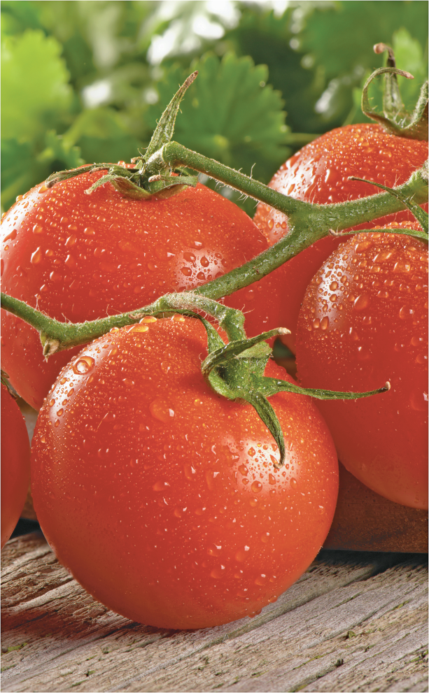Tomatoes product image.