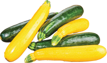 Squash product image.